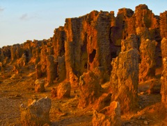 Der Petrified Forest bei Portland, South Australia
